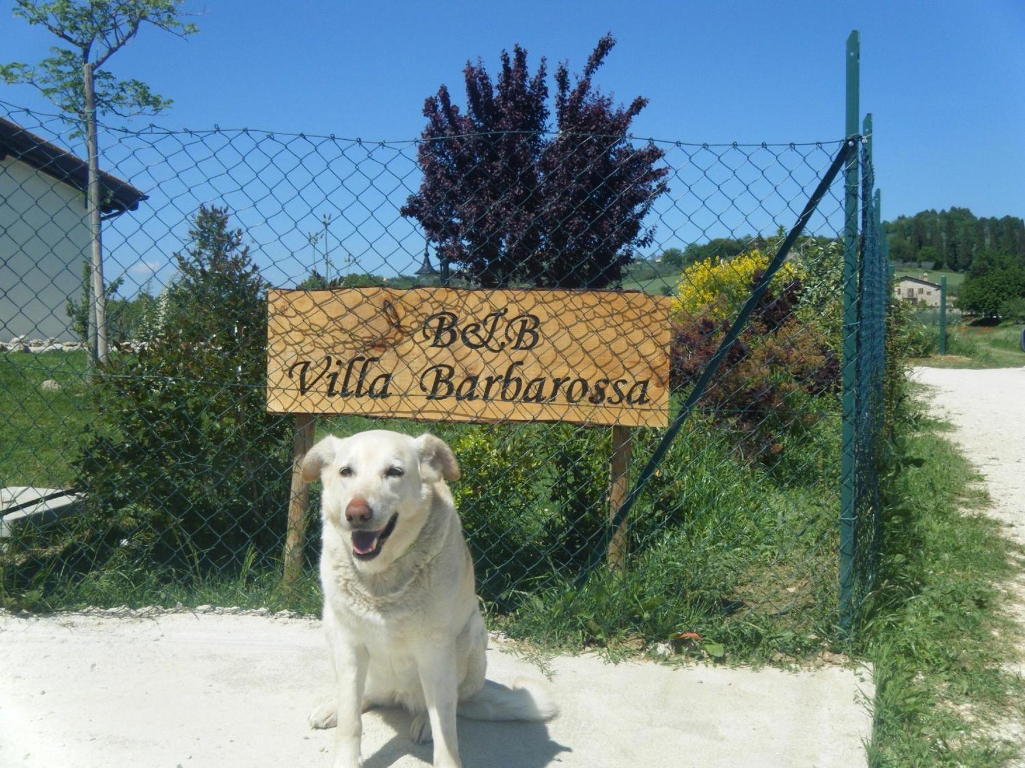 B&B Villa Barbarossa Petrignano Zewnętrze zdjęcie