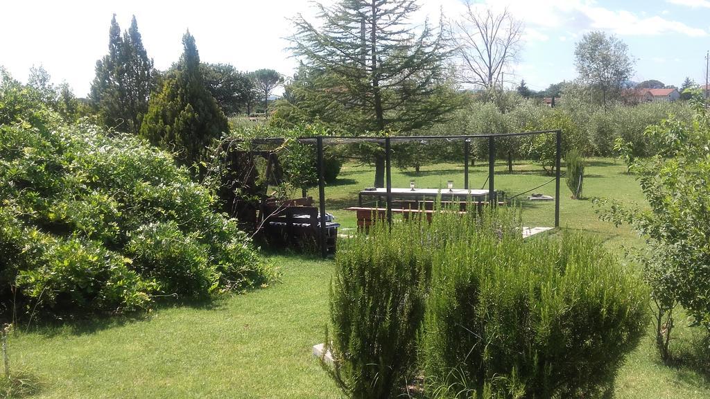 B&B Villa Barbarossa Petrignano Zewnętrze zdjęcie